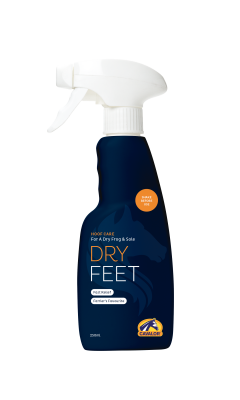 Dry Feet