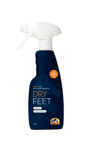 Dry Feet