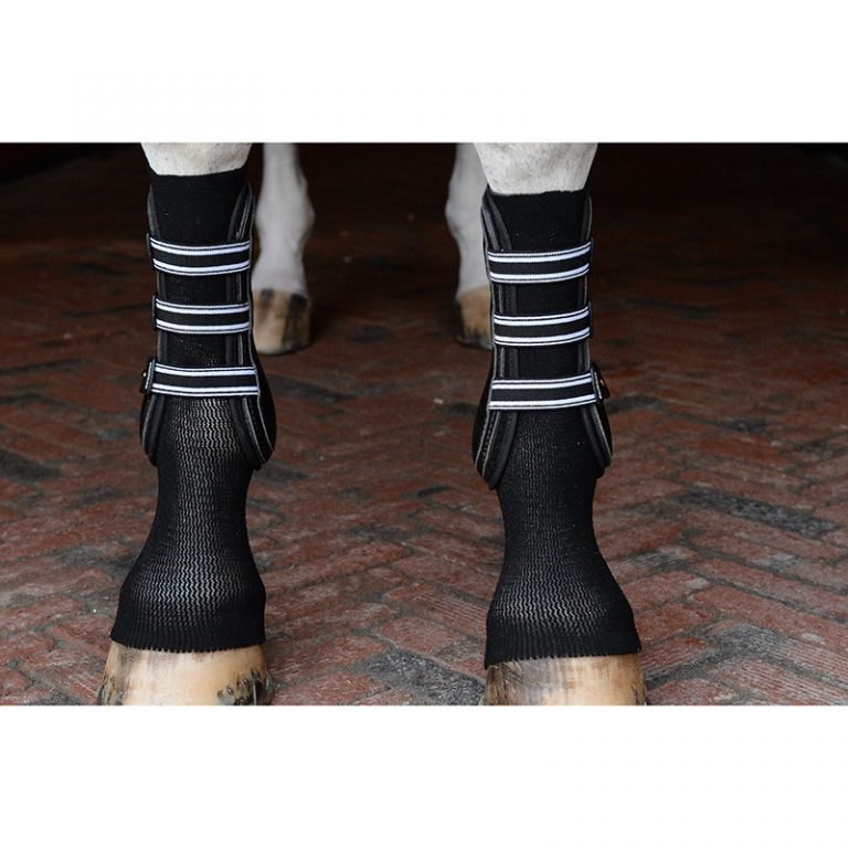 GelSox™ for Horses