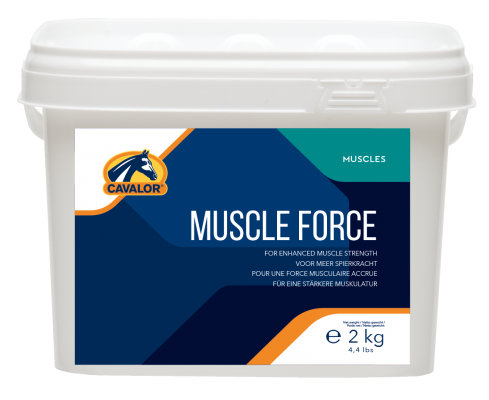 Muscle Force