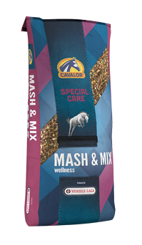 Mash & Mix - Equus Integral