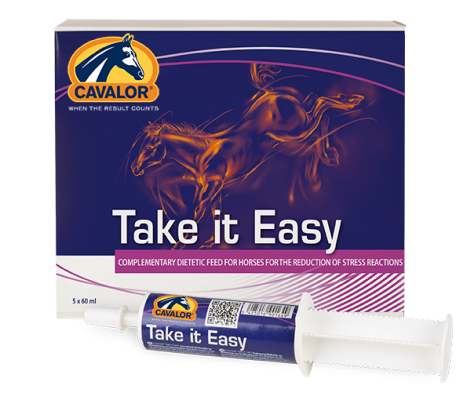Take it Easy - Equus Integral