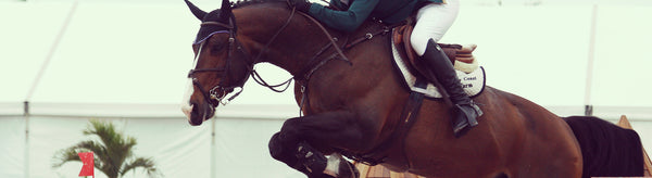 R-10 - Equus Integral